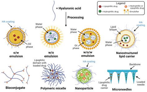  Hyaluronan: Un polímero de alto peso molecular para aplicaciones biomédicas innovadoras!