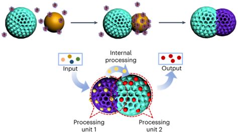  ¿Janus Nanopartículas: Revolucionando la Catálisis y los Materiales Composites?